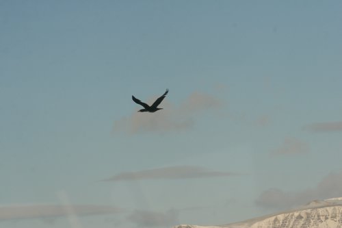 IMG_9708.JPG
