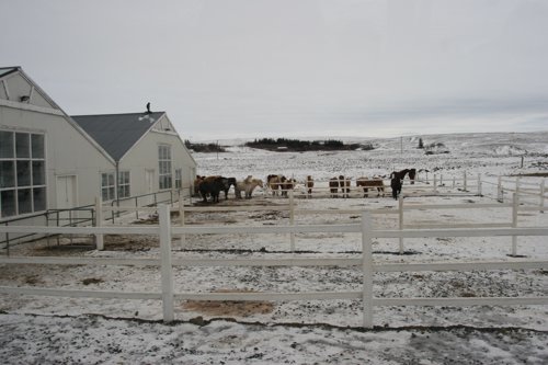 IMG_9759.JPG