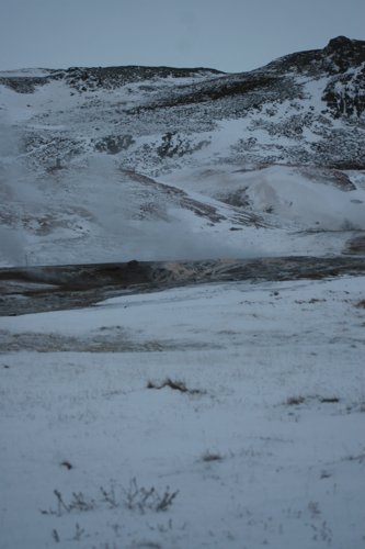 IMG_9850.JPG