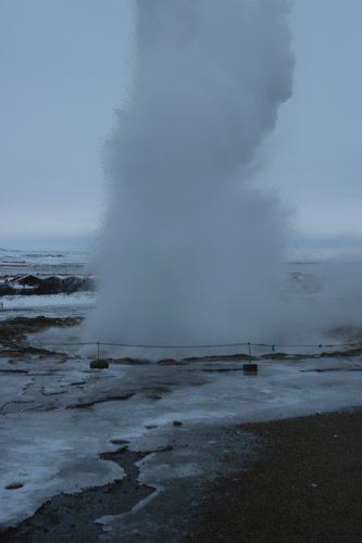 IMG_9869.JPG