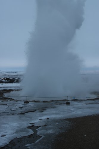 IMG_9870.JPG