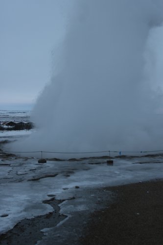 IMG_9876.JPG