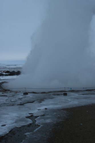 IMG_9877.JPG