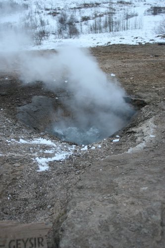 IMG_9878.JPG