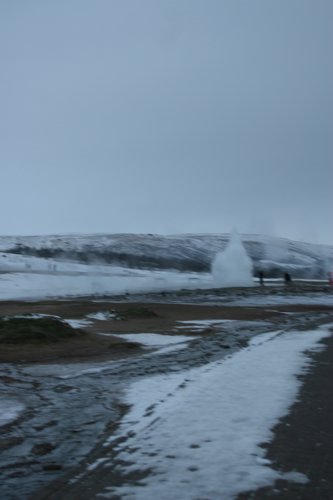 IMG_9882.JPG