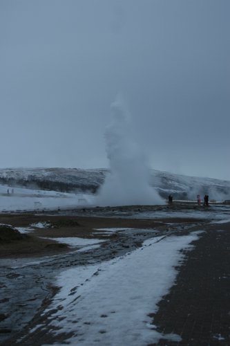 IMG_9885.JPG