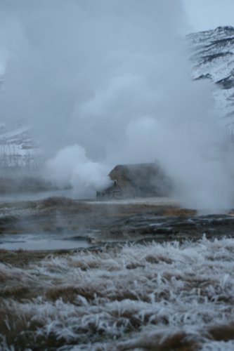 IMG_9889.JPG