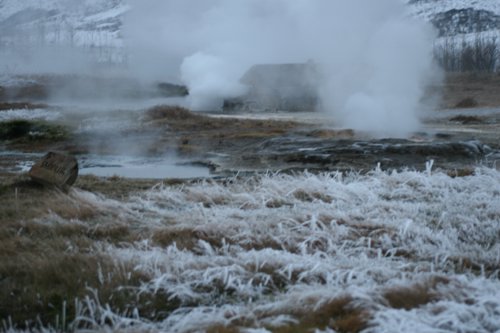IMG_9890.JPG