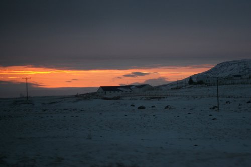 IMG_9903.JPG