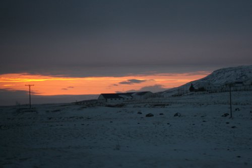 IMG_9904.JPG