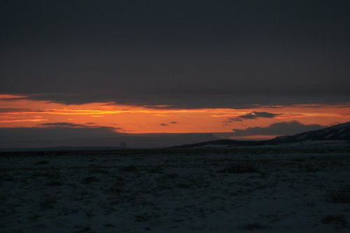 IMG_9908.JPG