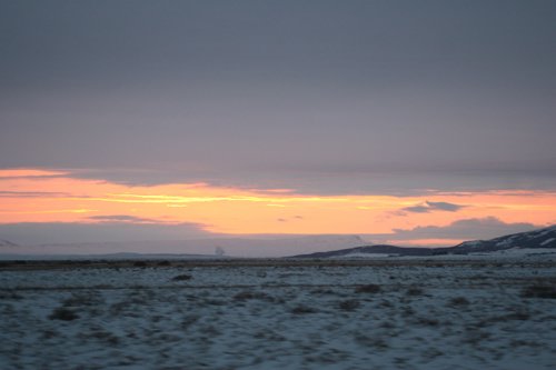 IMG_9910.JPG