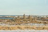 IMG_9659.JPG