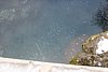 IMG_9783.JPG