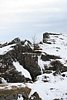 IMG_9786.JPG