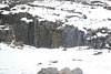 IMG_9792.JPG
