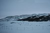 IMG_9900.JPG
