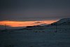 IMG_9902.JPG