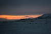 IMG_9904.JPG
