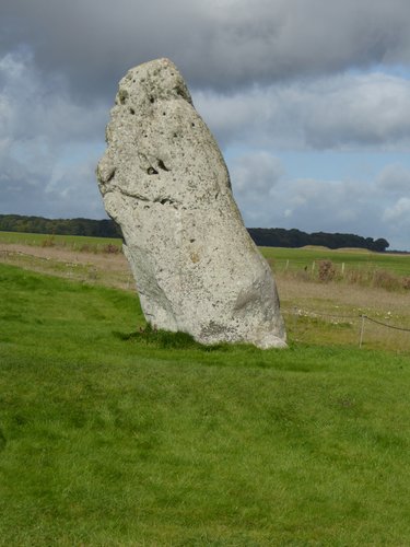P1000036.JPG