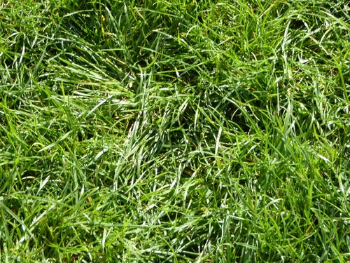 P1000055.JPG