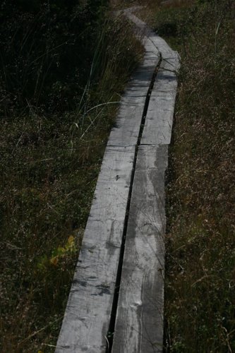 00263.jpg
