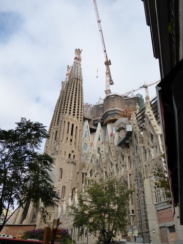 P1000084.JPG