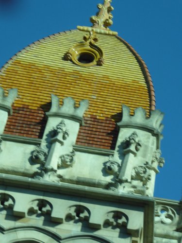 P1000096.JPG
