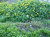 P1000100.JPG