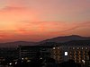 P1000104.JPG