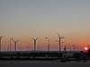 P1000143.JPG