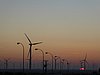 P1000145.JPG