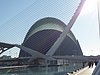 P1000147.JPG