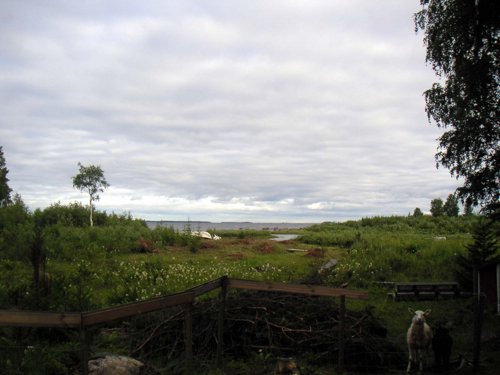 vy_hamn1.jpg