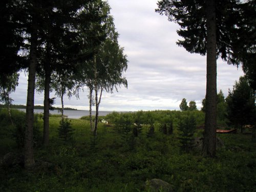 vy_hamn2.jpg