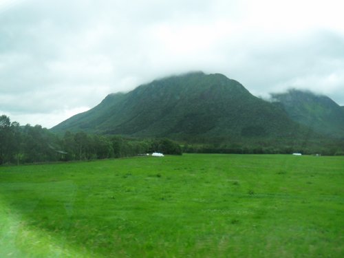 SAM_0572.JPG