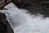 IMG_6895.JPG