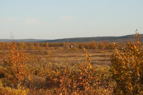 IMG_8741.JPG