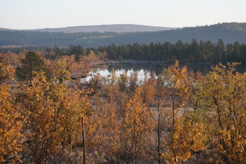 IMG_8765.JPG