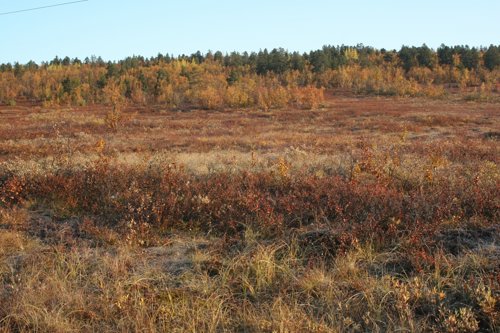 IMG_8769.JPG