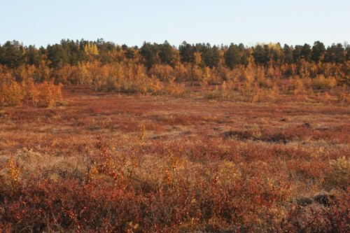 IMG_8771.JPG