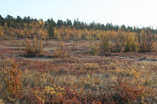 IMG_8773.JPG