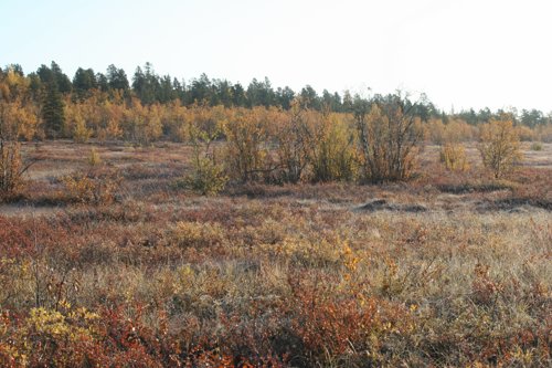 IMG_8774.JPG