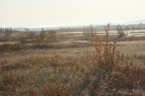 IMG_8775.JPG