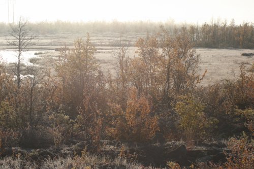 IMG_8776.JPG