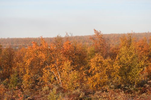 IMG_8779.JPG