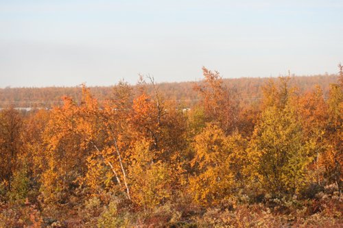IMG_8780.JPG