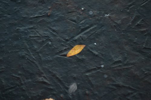 IMG_8786.JPG