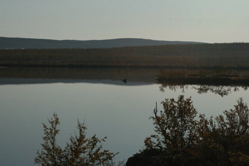 IMG_8793.JPG