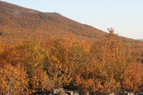 IMG_8797.JPG
